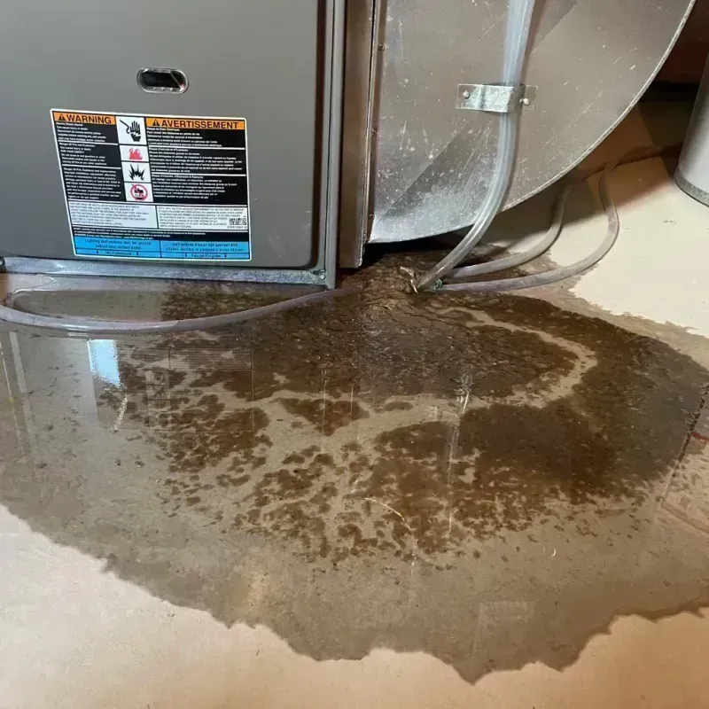 Appliance Leak Cleanup in Payne County, OK